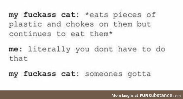 Someone gato