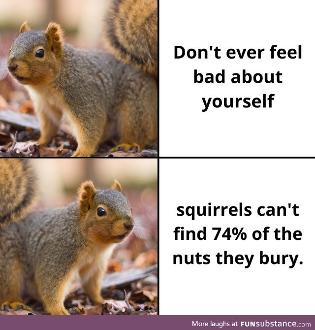 Keep your nuts close