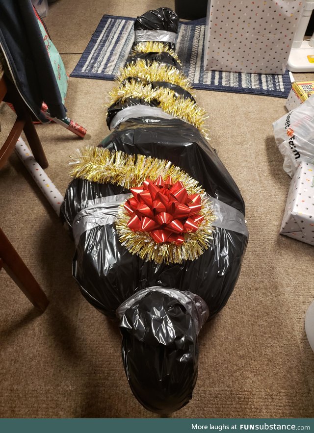 I took some creative liberties when wrapping my brother's Christmas gift