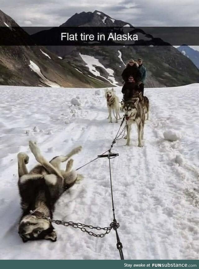 Get the spare!