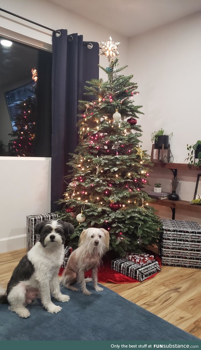 Our first Christmas in our new home