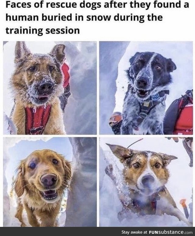 Too wholesome