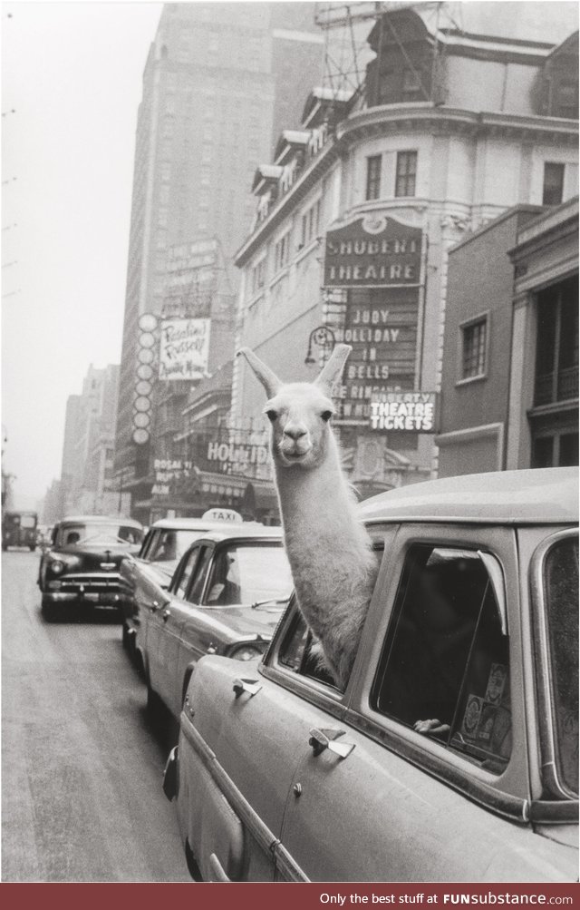 Photograph from New York City in 1957