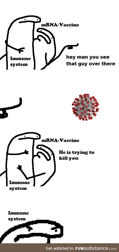 How the mRNA vaccine works, basically