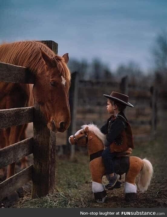 Little cowboy