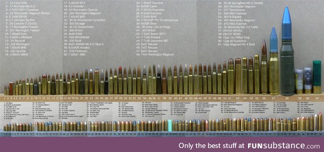 Ammunition comparison
