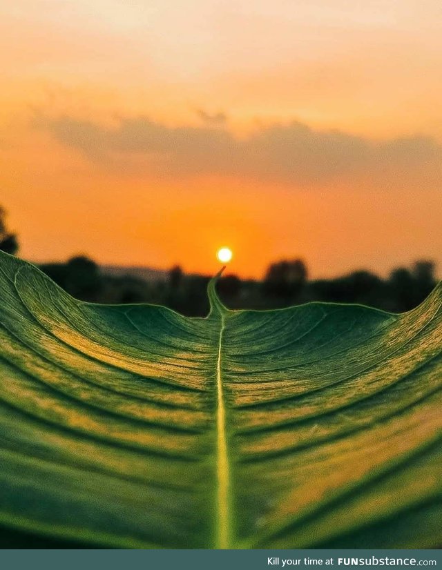 Sun sets in Rajastan, India