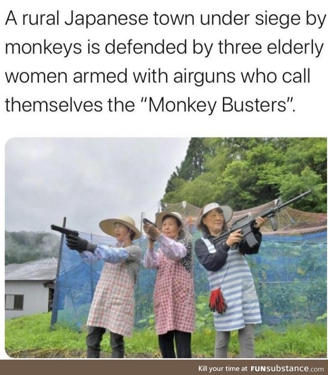 Monke busters, the elder guardians