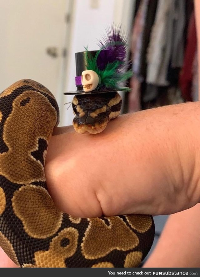 Making Hats For Snakes