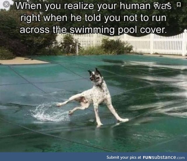 Don't run across the swimming pool cover