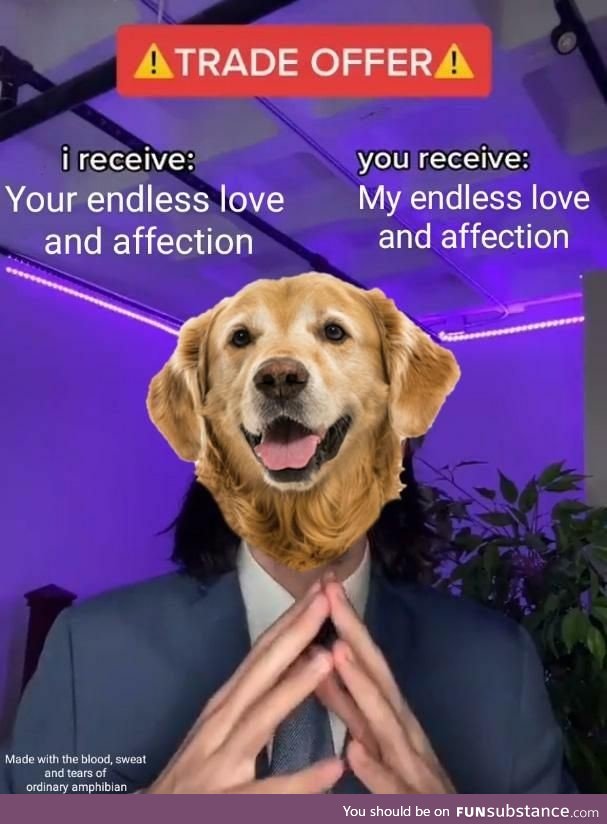 Accept my offer