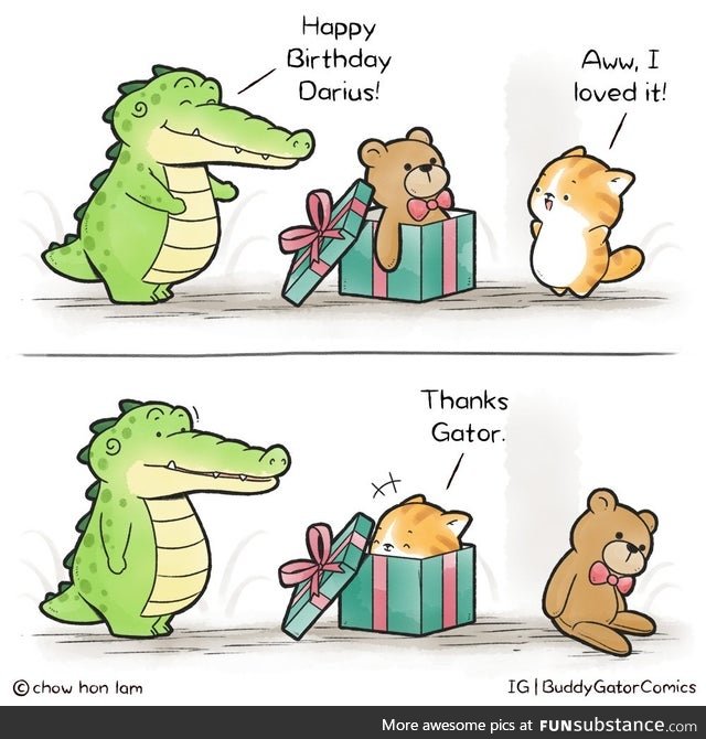If the gift fits the cat sits