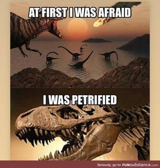 Everybody walk the dinosaur