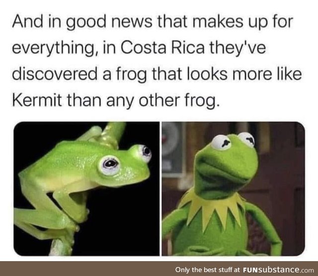 The real Kermit