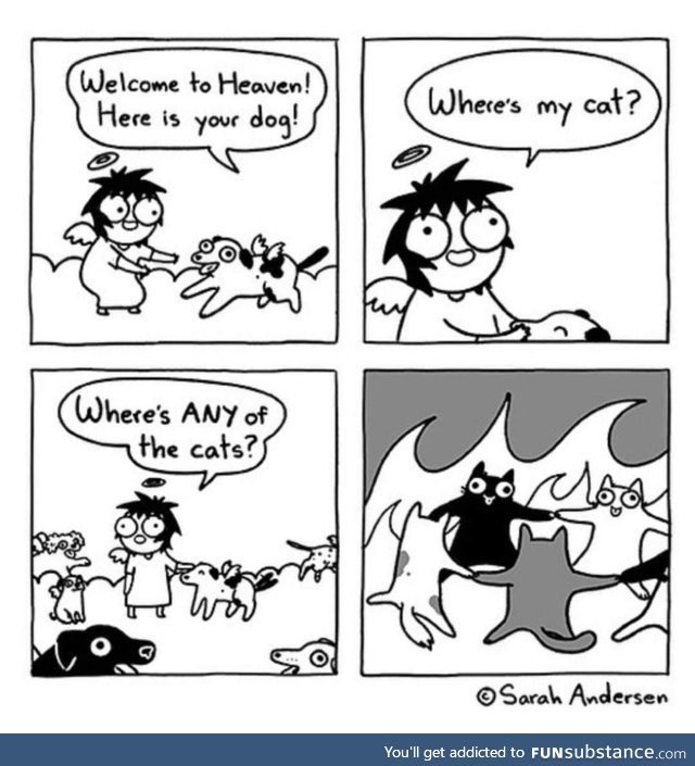 All dogs go to heaven