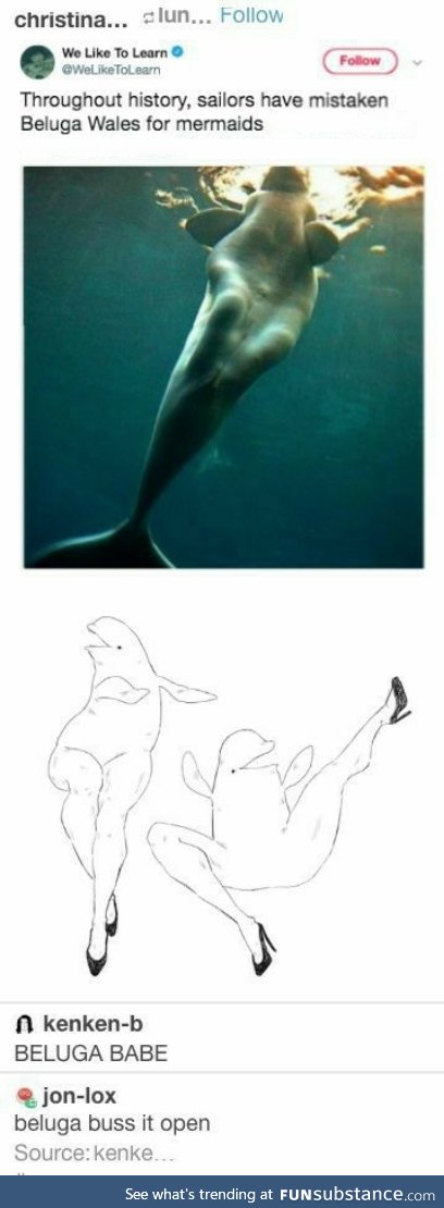 Beluga Babe
