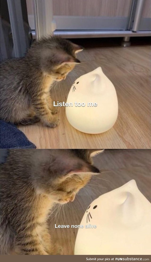 The cat deity has spoken
