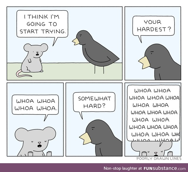 Let's not get carried away, birb