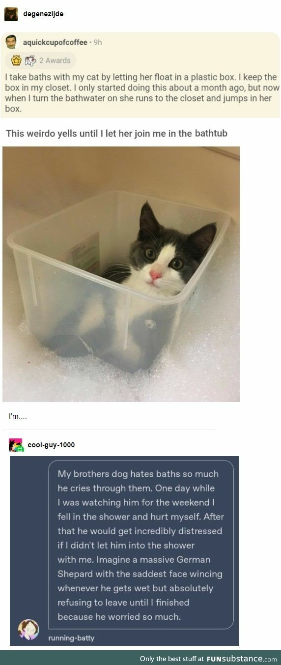 Animals in the Bath