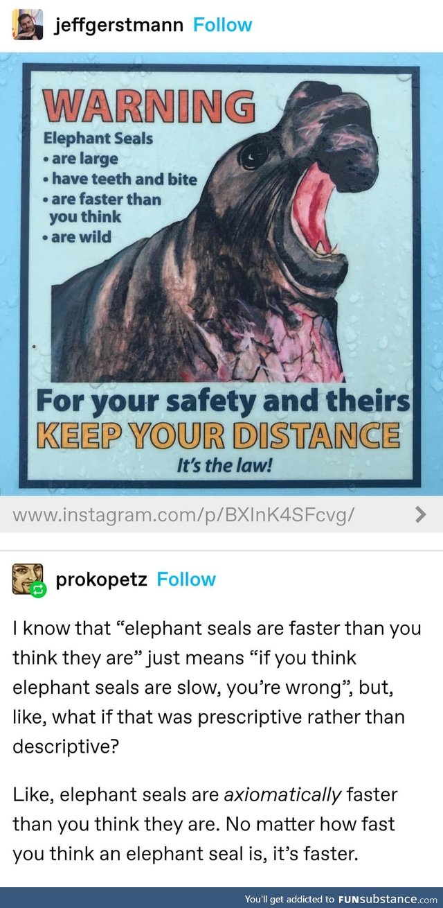 Elephant seals are a new cryptid