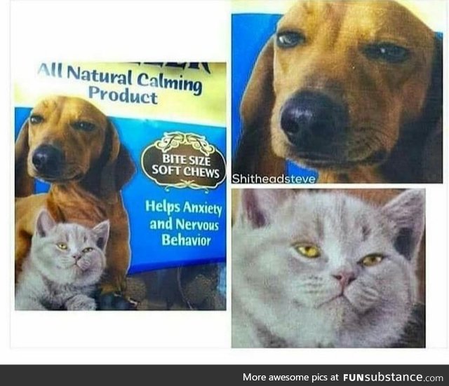 What kinda drugs are they putting in these animal treats