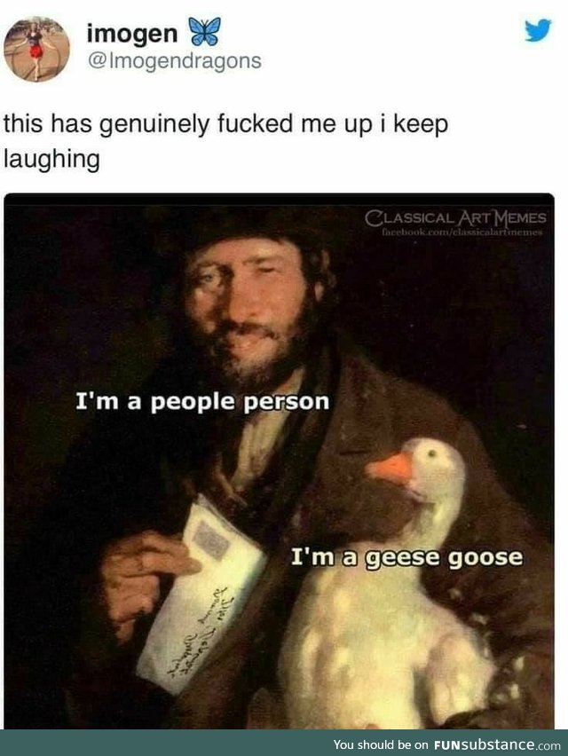 Geese Goose