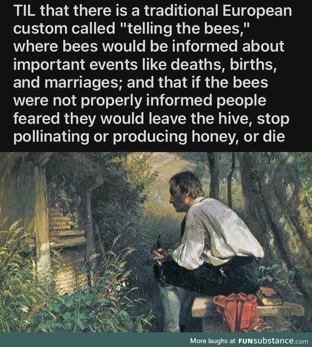 Telling the Bees