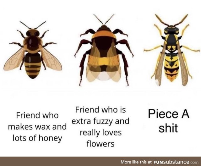 *** wasps