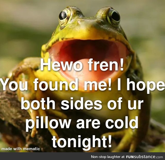 Hewo froggie