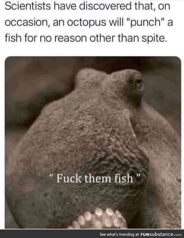 F%#k that fish!