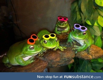 Froggo Fun #505 - Ready to Hit the Beach