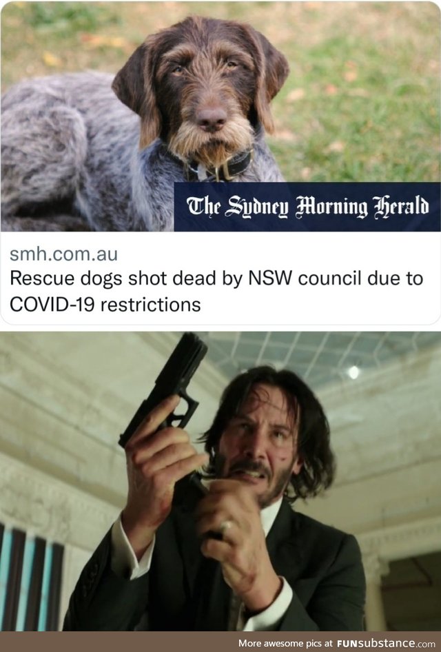 John Wick Goes Down Under