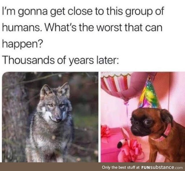 This is how artificial evolution looks
