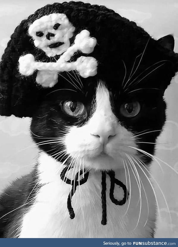 Captain Catfluff