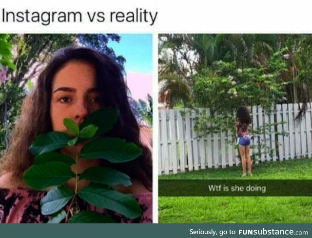 Instagram vs reality