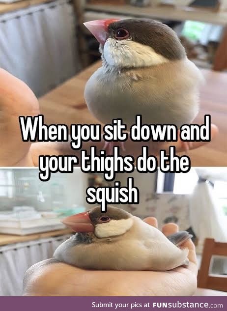 Thigh squish for president