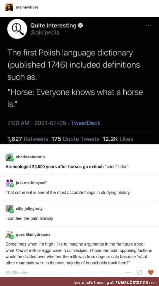 This is why I have language issues
