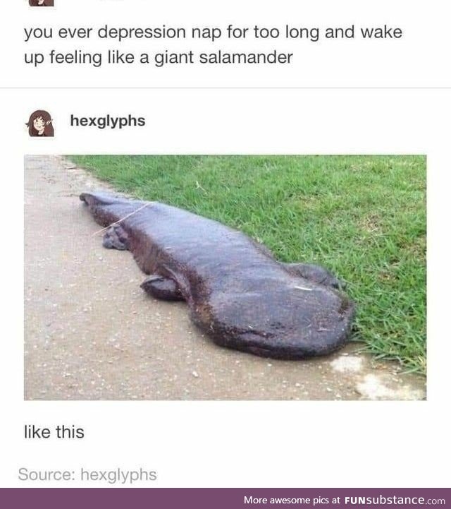 Wake up feeling like a giant salamander