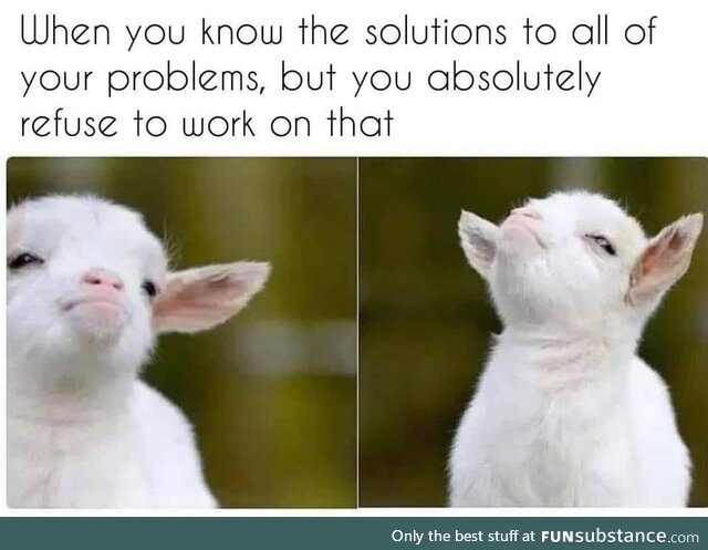 This is painfully accurate
