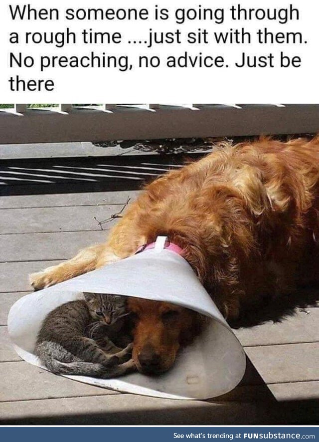 Good Advice... Um, Nevermind
