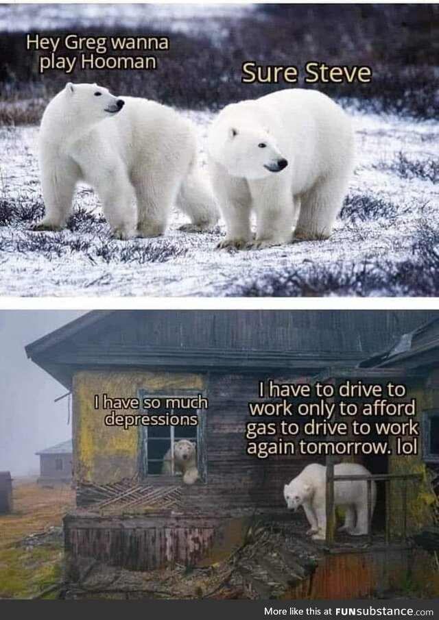 Bipolar bears