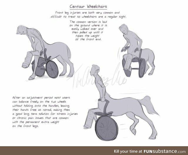 Centaur Wheelchairs
