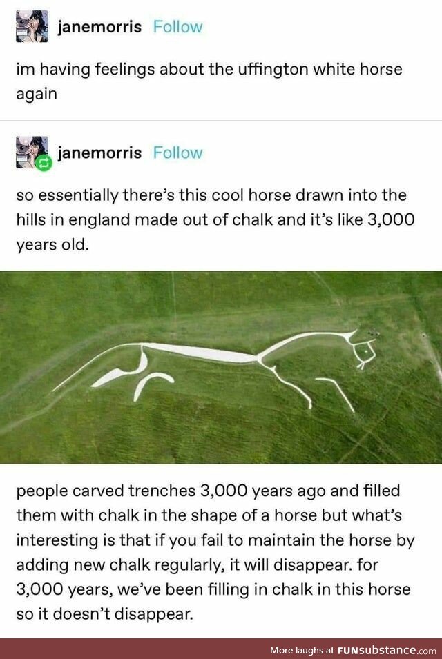 Building Horses Made of Chalk