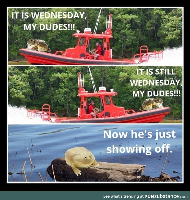 Froggo Fun R #39 - Boat Go Brrr