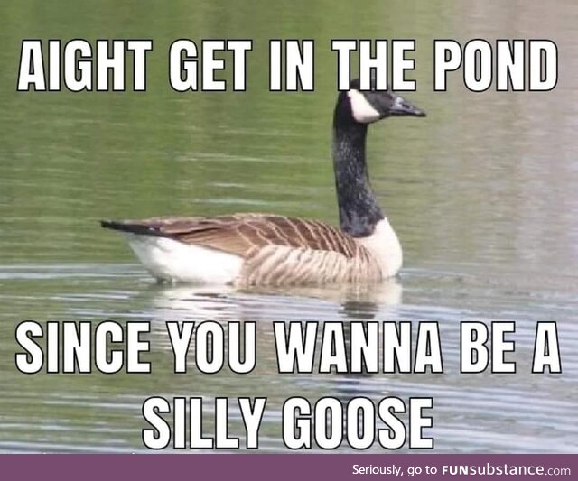 What sound does geese make again?