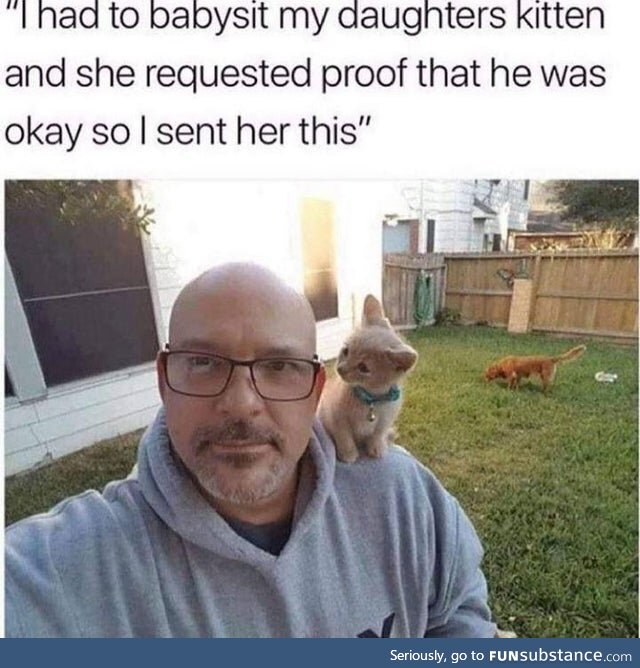 Kitty Sitting
