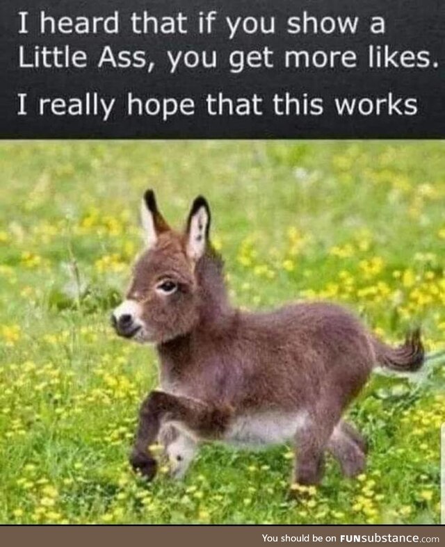 Totally safe for work