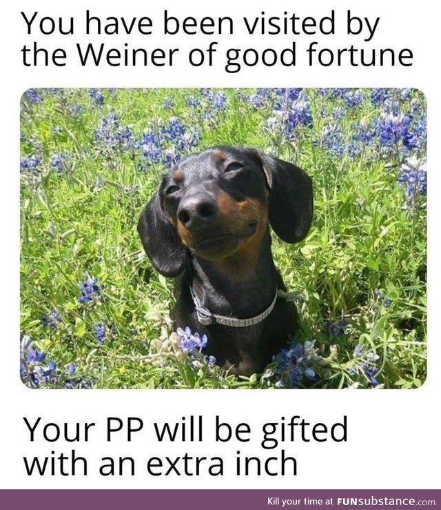With This Guy, Everyone's a Wiener