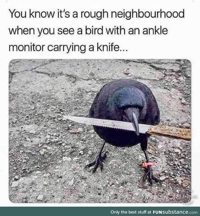 You came to the wrong
