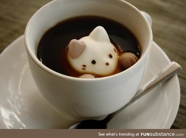 Coffee Art #35 - Marshmallow Cat